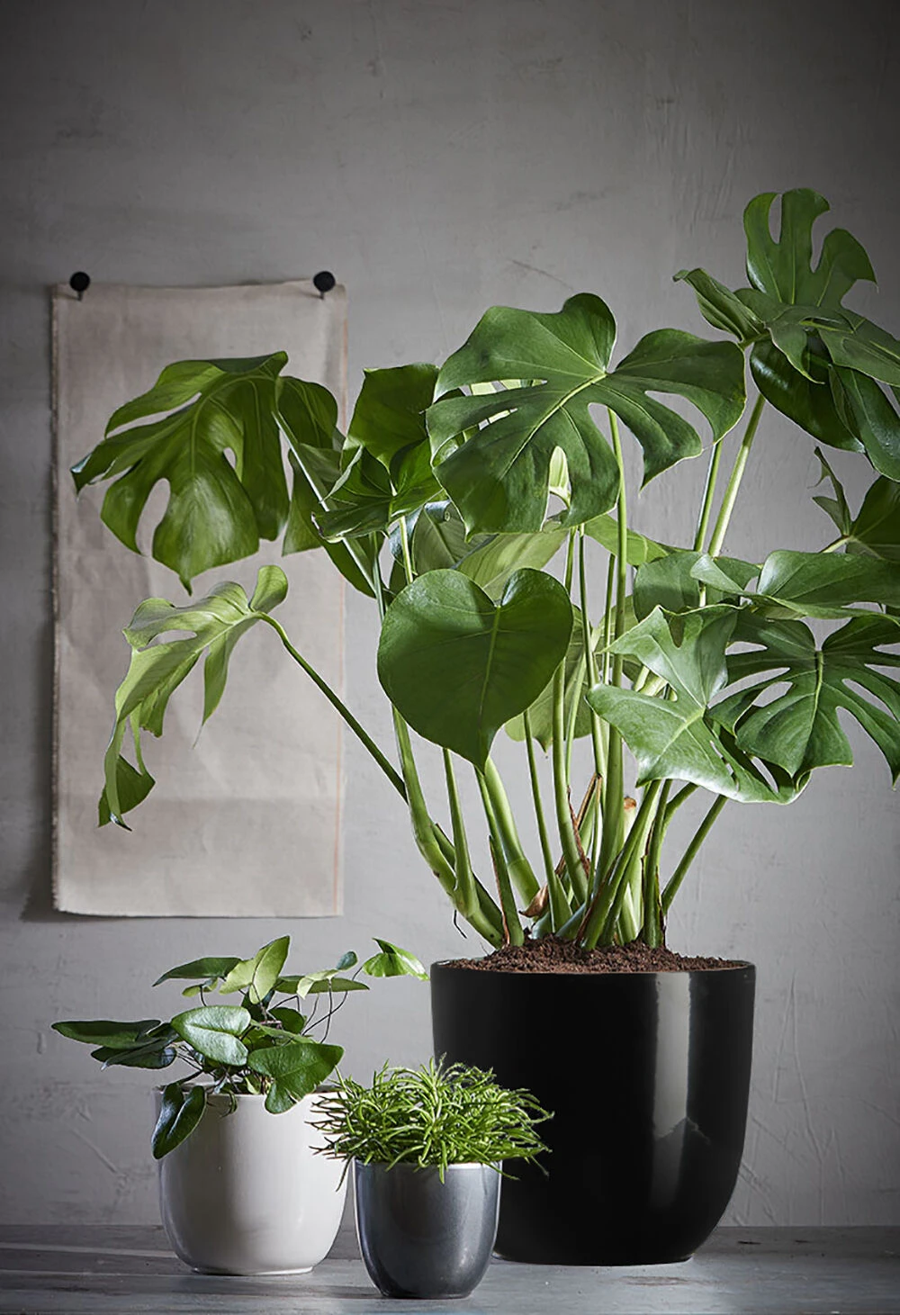 Bloempot Tusca - D31 X H28.5cm - Antraciet - Afbeelding 2